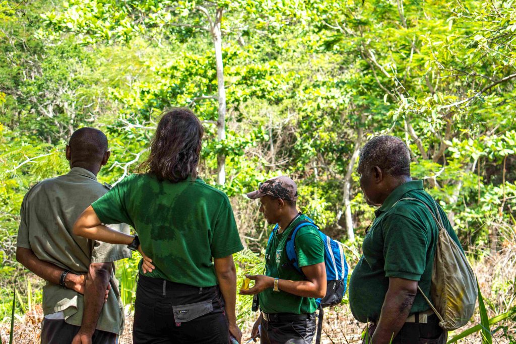 https://clg-koungou.ac-mayotte.fr/wp-content/uploads/2019/11/DSC_2155-2-1024x683.jpg 1024w, https://clg-koungou.ac-mayotte.fr/wp-content/uploads/2019/11/DSC_2155-2-300x200.jpg 300w, https://clg-koungou.ac-mayotte.fr/wp-content/uploads/2019/11/DSC_2155-2-768x512.jpg 768w