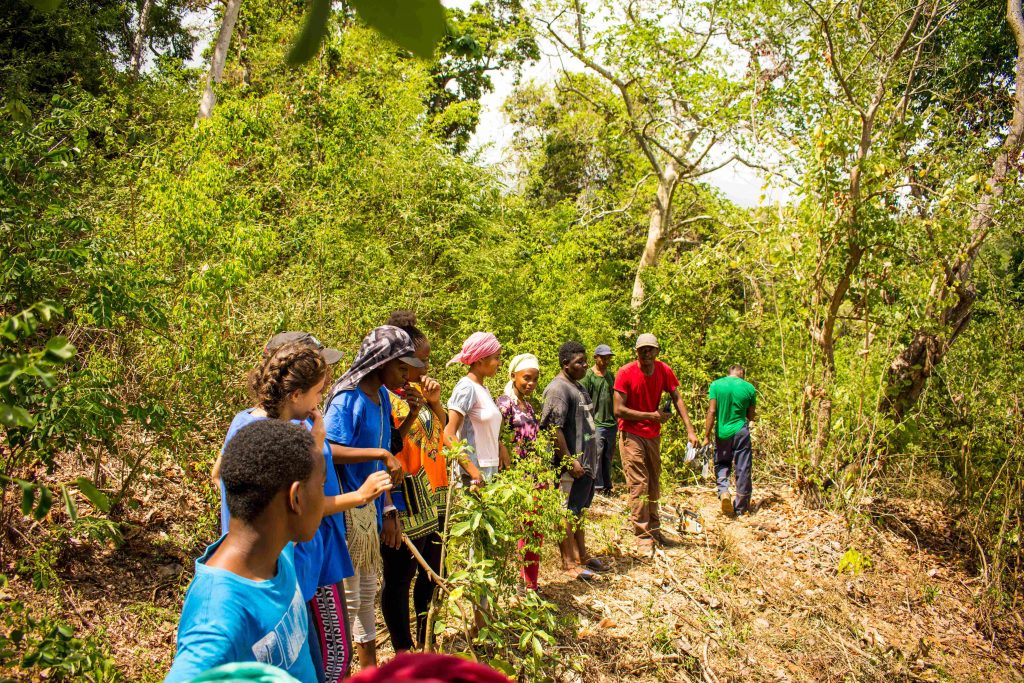 https://clg-koungou.ac-mayotte.fr/wp-content/uploads/2019/11/DSC_2167-2-1024x683.jpg 1024w, https://clg-koungou.ac-mayotte.fr/wp-content/uploads/2019/11/DSC_2167-2-300x200.jpg 300w, https://clg-koungou.ac-mayotte.fr/wp-content/uploads/2019/11/DSC_2167-2-768x512.jpg 768w