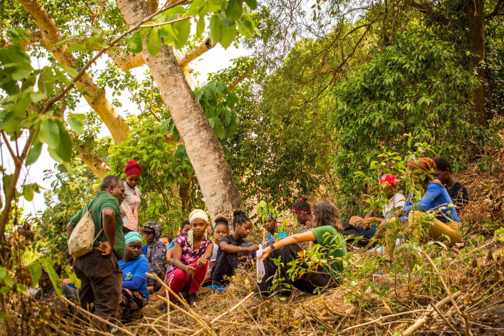 https://clg-koungou.ac-mayotte.fr/wp-content/uploads/2019/11/DSC_2173-2-1024x683.jpg 1024w, https://clg-koungou.ac-mayotte.fr/wp-content/uploads/2019/11/DSC_2173-2-300x200.jpg 300w, https://clg-koungou.ac-mayotte.fr/wp-content/uploads/2019/11/DSC_2173-2-768x512.jpg 768w