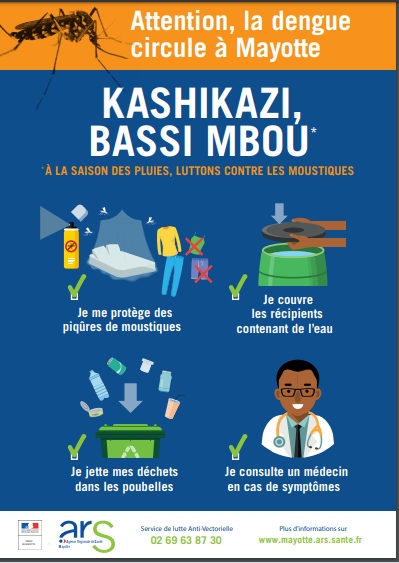 https://clg-koungou.ac-mayotte.fr/wp-content/uploads/2020/01/Dengue-1.jpg 399w, https://clg-koungou.ac-mayotte.fr/wp-content/uploads/2020/01/Dengue-1-213x300.jpg 213w